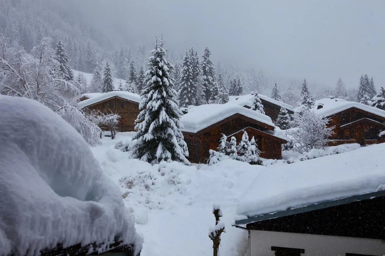 Residence La Verte 24- Aux Pieds Des Pistes! Chamonix France